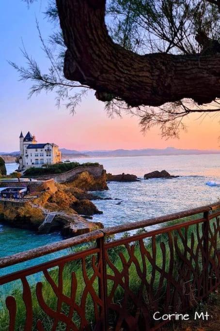 Magnifique T3 - Grande Plage Biarritz Kültér fotó