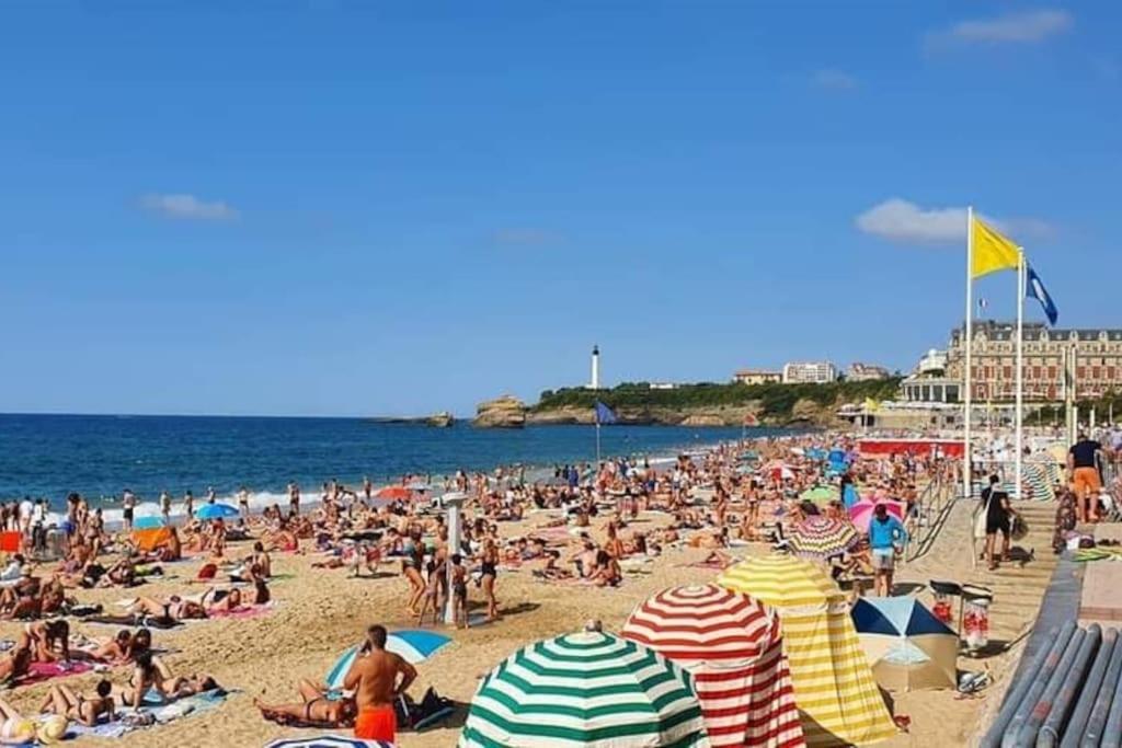 Magnifique T3 - Grande Plage Biarritz Kültér fotó